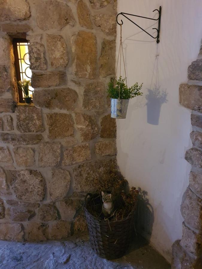 Zum Ewigen Rath Maison d'hôtes Mühlhausen
